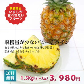 6月上旬より発送 ピーチパイン1.5kg（2〜4玉）送料無料　もぎたて　パイナップル　沖縄 宮古島 国産　フルーツ