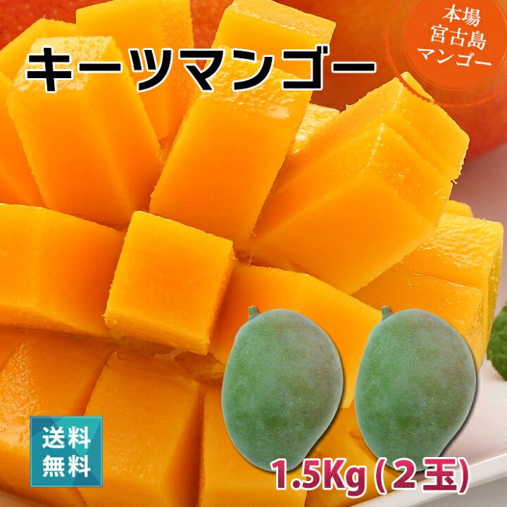 楽天市場】キーツマンゴー1.2〜1.5kg（2〜3玉）沖縄 宮古島産 マンゴー 