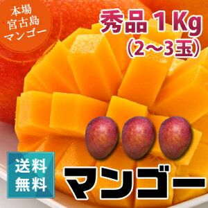 秀品マンゴー1kg(2〜3玉)朝獲りもぎたて沖縄県宮古島産マンゴーの収穫量日本一の宮古島より直送予約販売中6月下旬より順次発送