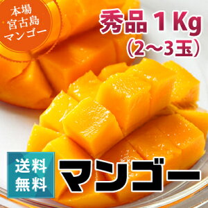 秀品マンゴー1kg(2〜3玉)朝獲りもぎたて沖縄県宮古島産マンゴーの収穫量日本一の宮古島より直送予約販売中6月下旬より順次発送
