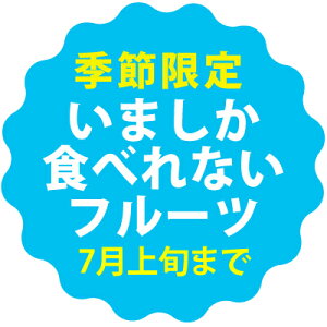 秀品マンゴー1kg(2〜3玉)朝獲りもぎたて沖縄県宮古島産マンゴーの収穫量日本一の宮古島より直送予約販売中6月下旬より順次発送