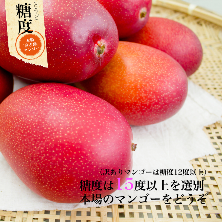 6月下旬より発送 ご家庭マンゴー2kg（4〜8玉）送料込 もぎたて ンゴーの収穫量日本一の宮古島より直送 フルーツ・果物 
