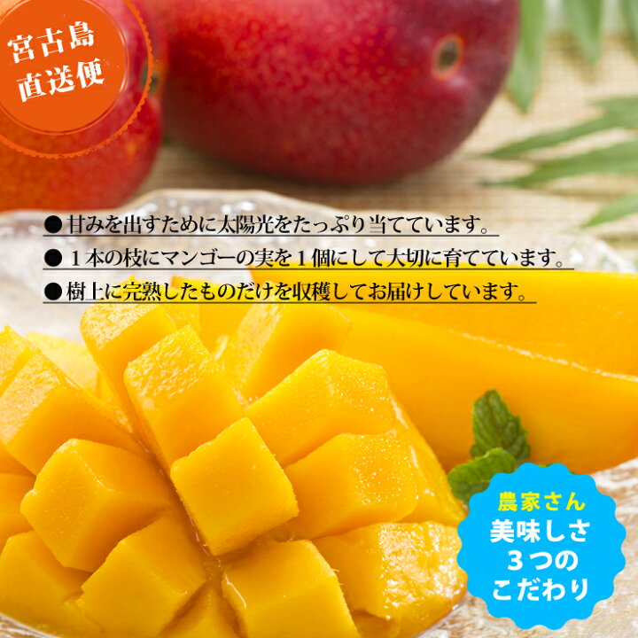 楽天市場】キーツマンゴー2kg（2～3玉）沖縄 宮古島より直送 送料無料 