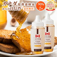 【LINE友達登録で2,000円以上200円OFFクーポン開催中】送料無料 カナダ産 蜂蜜 500g ポリ×2本 | はちみ…