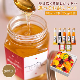 【4/25は24時間限定！全商品ポイント5倍開催中】送料無料 毎日飲める酢 200ml×2本 蜂蜜 250g×1個 健康セット | 飲む酢 飲むお酢 お酢 酢 ドリンク はちみつ 果実酢 ビネガードリンク 健康 ギフトプレゼント 父 女性 お歳暮 飲める酢 ビネガー 夏 サマーギフト ギフト