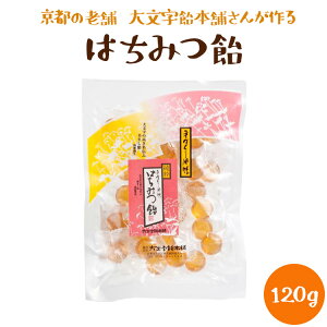 ݂͂ 120g 啶{