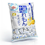 塩れもん キャンディ 800g 業務用 大容量 個包装 塩分補給 熱中症対策 レモン飴 まとめ買い 松屋製菓