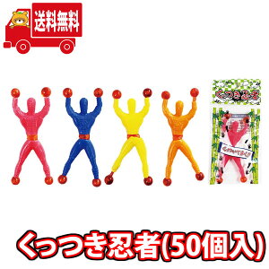 (n著) E (50) (4580323643239k)y ii ߋ   Ղ ii Cxg q ۈ牀 ct čՂ ql` ii  ≮ Ɩpz