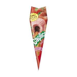 OR WCAgJvR 1{ 120R 2024/11/19 (4901005001831c)