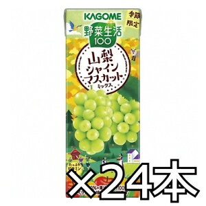 JS ؐ100 RVC}XJbg~bNX 195ml x 24{i1P[Xj (4901306302415)