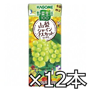 JS ؐ100 RVC}XJbg~bNX 195ml x 12{ (4901306302415h)
