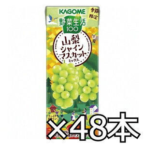 JS ؐ100 RVC}XJbg~bNX 195ml x 48{i2P[Xji4901306302415wj