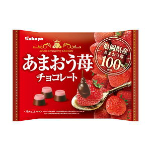 Jo ܂䕃`R[g 122g 18R 2025/02/25 (4901550376163)