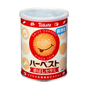 ng n[xXg ۑ 32i88gj 10R 2024/11/04 (4901940041367)