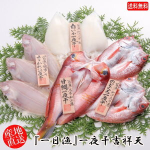 (地域限定送料無料)岡富商店 「一日漁」一夜干 吉祥天(のどぐろ1〜2尾・甘鯛1尾・笹かれい2〜4枚・白いか2枚) 冷凍 干物セット ギフト 産地直送(sot102)