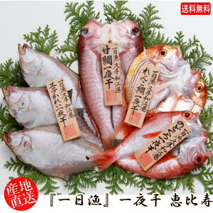 (地域限定送料無料)岡富商店 「一日漁」一夜干 恵比寿(のどぐろ2〜3尾・甘鯛1尾・れんこ鯛1尾・えてかれい3〜4尾) 冷凍 干物セット ギフト 産地直送(sot103)