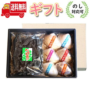 َq Mtg (n著)ŷΉz ӂ邳Ƃ̖ ̉ jbLL َqMtgZbg (2Ev7R) (omtma8884gk) y َq Mtg Ε hV̓ َq 
