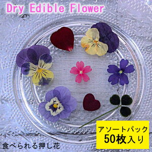 Hp hCt[(S)Hׂ鉟 hCGfBut[ 5A\[gpbN 50 LЃg [(omtmb7044)