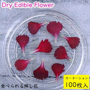 (S)Hׂ鉟 hCGfBut[ J[l[V 100 Hp hCt[ LЃg [(omtmb7228)