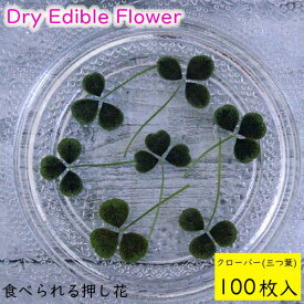 楽天市場 三つ葉クローバー 押し花の通販