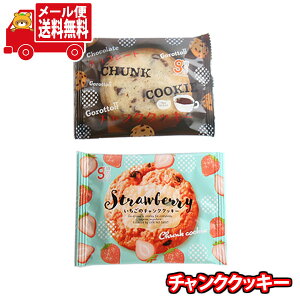 (全国送料無料)お菓子 詰め合わせ 銀の汐チャンククッキー(2種・計2コ) お試しいい値セット メール便 (omtmb9644)【送料無料 詰め合わせ おやつ 小袋 個包装 お試し】