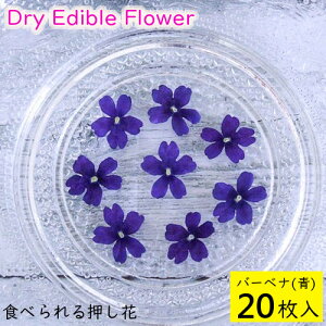 (S)Hׂ鉟 hCGfBut[ o[xi() 20 Hp hCt[ LЃg [(omtmb6249)