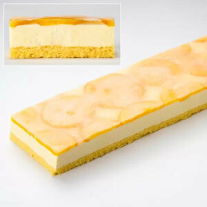 業務用 ヌーベルドゥース ネーブルレアチーズケーキ 冷凍 480g (769105835)