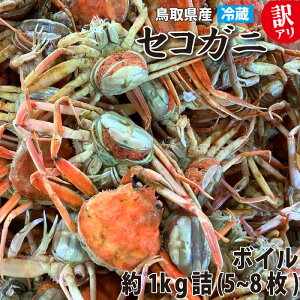 y悩璼z~̖o lŃZRKj 󂠂 1kgl (5`8)