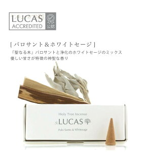 yNEWzpTg&GNXgEzCgZ[W  20 i4573310485912j [ q[OE򉻗p ] LUCAS JX 򉻗p  {EsgpHoly Tree Incense