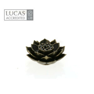  yR[^CvpznX̉Ԃ̂ā@[^Xt[