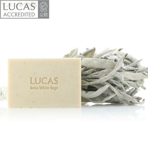 yj[AzzCgZ[W Sg򉻗p ΂ LUCAS JXyJtHjAY I[KjbNzCgZ[W̏򉻗p΂zzCgZ[WGbZVICAzCgZ[W