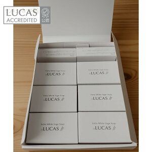 y14ZbgzzCgZ[W Sg򉻗p ΂ LUCAS JXyJtHjAY I[KjbNzCgZ[W̏򉻗p΂zzCgZ[WGbZVICAzCgZ[W