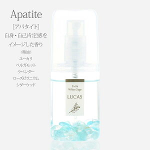 I[Xv[ |PbgJX 20ml yAp^Cg MEȍm芴ziVR100jLUCAS  I[Rg[ gRg[