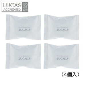 LUCAS n[o Gv\\g 4yzCgZ[WRPCfz@򉻗p܁zJX̃zCgZ[W