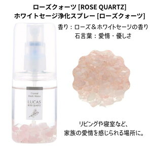 LUCAS JX zCgZ[W 򉻃Xv[|PbgJX 20ml 6ނ̍肩Iׂ܂ KXv[ }XNXv[(Ɂj s[Xv[ Xv[ A}Xv[ ґzv[