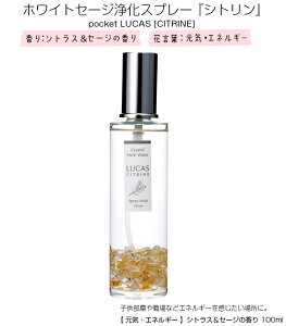 ̔k܂BLUCAS zCgZ[W 򉻃[Xv[ 100ml 5ނ̍e K ґz }XN v[g Mtgɂ