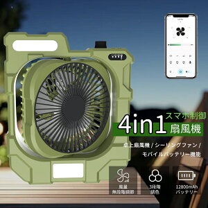 y2025NV@^z@ R[hX Lv @ 12800mAh [d  T[L[^[ LEDCg OiK\ 5H 45ԘAgp\ @\ 13 rO USB [dt@