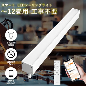 LED�V�[�����O���C�g ���� 30w 6000lm 2������ �����R���t �V�[�����O���C�g �������F ����̌^ �u�����Ɩ���� 10��`14�� �X�}�[�g�Ɩ� �A�v������ Bluetooth�Ή� �V�䒼�t�^ �_�N�g���[���p ��