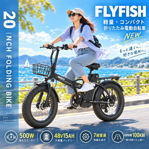 �y2026�z[�������s�\ ] �t���A�V�X�g �d���A�V�X�g���]�� 20�C���` 7�i�ϑ� �A�V�X�g���]�� �d�����]�� 500W���[�^�[ �܂肽���� �������� 2���[�h�Ή� ������ �܂肽���ݓd���A�V�X�g �d���A