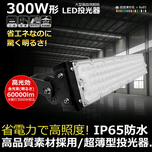 LED O 300W 3000W 60000lm ^ LED Ɠ hƓ փCg IP65h R Px ƒpdΉ dF vOC Lp120x 180°R ACR[ht Ǌ|Ɩ 5mR[ht