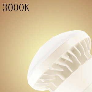 y1Nۏ؁zLEDoXgXⓔ LEDr[d par38 d25w 5000lm E26 25W 250W ⓔLED֌ LEDX|bgCg oXgXⓔ IP65h d y PSE Ǝˊpx14