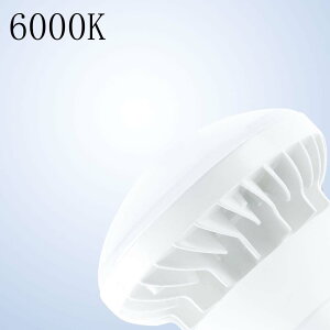  LEDoXgXⓔ PAR38^ LEDr[d 250w⃉v d 25W Px 5000lm nQd X|bgLEDƖ LEDⓔ dF F F F IP65hho LEDp[Cg PAR