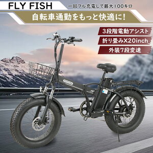 dAVXg] 20C` ܂肽ݓdAVXg] ɑ^C 3iKAVXg 48V15Ahobe[ V}m7iϑ ^F s100km ʋ Ƌsv 䐫 ϐk ʋ IP54h 