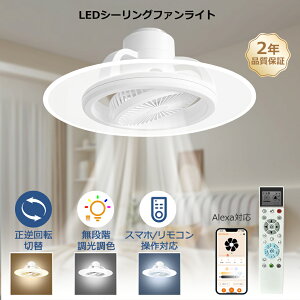 �V�[�����O�t�@�����C�g LED ������� 8�� 10�� �����t�� ���� ���F ���K�i ���ʒ��� ��U�� �V�[�����O�t�@�� ���C�g�t�� �y�� ���^ �t�@���t���Ɩ� �T�[�L�����[�^�[ ���t��] �����R�� ��