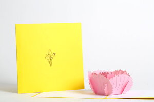 PaPeRPoPCARDS メッセージカード グリーティングカード ペーパーポップ 3Dポップアップ カーネーション 母の日 145-Carnation 3822019