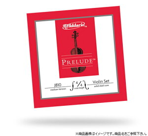 y䂤pPbgEzyD'Addario i__IjzyoCIzJ810 Prelude