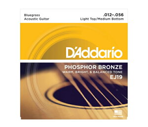 *�A�R�[�X�e�B�b�N�M�^�[�� D'Addario EJ-19(EJ19)