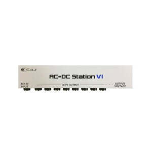 yCAJ JX^I[fBIWpz GtFN^[pp[TvC AC/DC Station VI (A_v^[ADCP[ut)