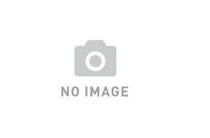 y䂤pPbgEzyyzyohs[Xzos[vol.475@SECOND COMING^TRICERATOPS