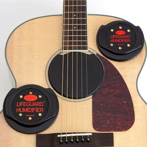 �y���������z�yKyser(�J�C�U�[)�z ���C�t�K�[�h �t���[�~�f�B�t�@�C�A KLHA �A�R�[�X�e�B�b�N�M�^�[�p